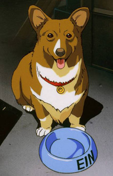 the character Ein from Cowboy Bebop sitting next to a food bowl with its name showing