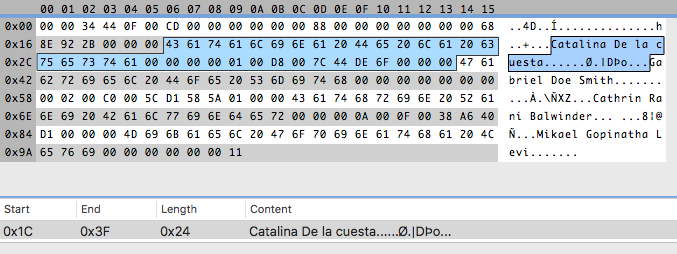 synalyze it set length to byte