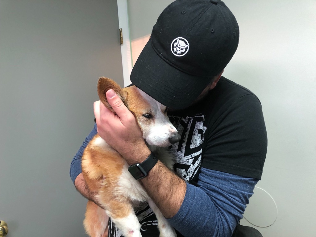 a man holding a Corgi dog in a veterinary office