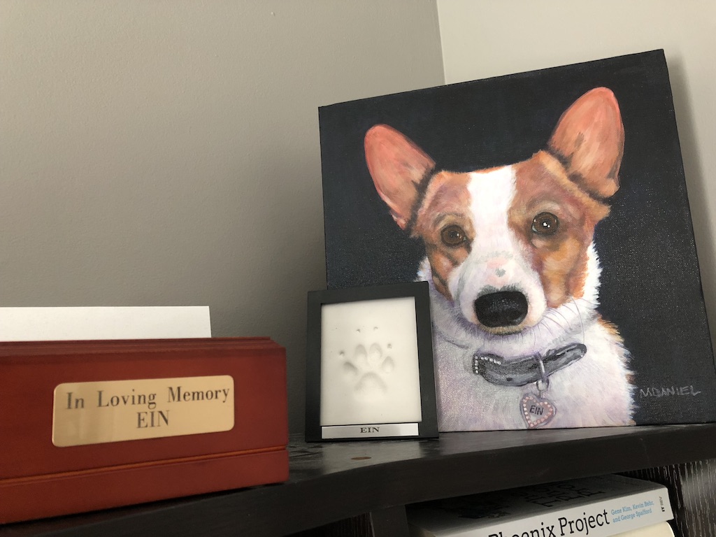 a bookshelf with a painting of a Corgi dog, a plaster paw print, and a box with the words "In Loving Memory of Ein" on the front